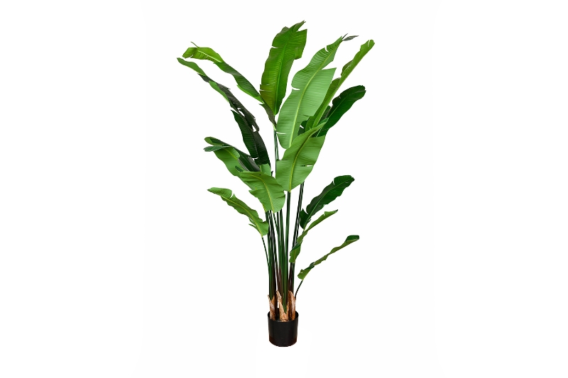 Picture of 353-001 Artificial Green Traveler's Palm Plant - H71"