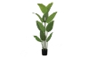 Picture of 353-002 Artificial Green Traveler's Palm Plant - H59"