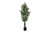 Picture of 353-007 Artificial Green Olive Plant - H73"