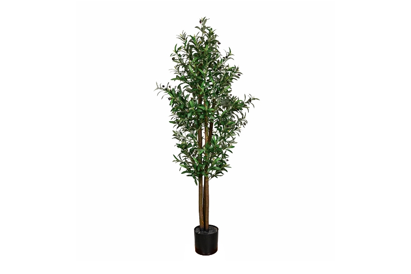 Picture of 353-007 Artificial Green Olive Plant - H73"