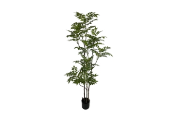 Picture of 353-009 Artificial Green Lacquered Wood Plant - H67"