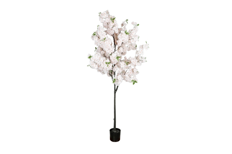 Picture of 353-010 Artificial White Cherry Blossom Tree Plant - H75"