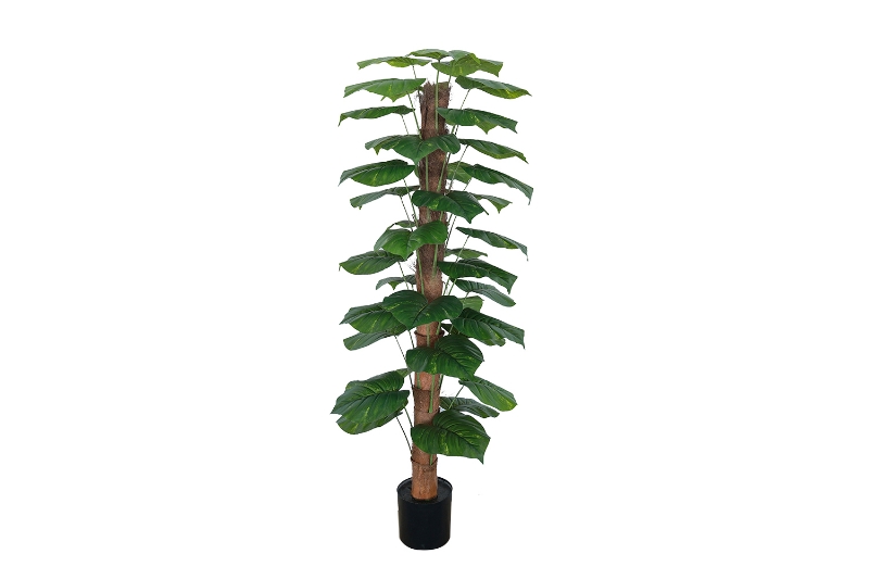 Picture of 353-013 Artificial Green Pothos Plant - H67"