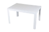 Picture of LUCERNE 47" Rectangular Dining Table- Water and UV Resistant