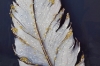 Picture of 357-013 Decorative Wall Art with Golden Frame (15.5"x23.5") - White Feather