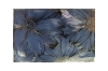 Picture of 371-013/014/015/016/017/018/019/020 Sunflower Placemat in White/Blue/Black