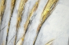 Picture of 389-001 Hand Oil Painting Canvas Wall Art (23.5"x35.5") - Golden Wheat Ear