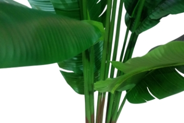 Picture of 353-001 Artificial Green Traveler's Palm Plant - H71"