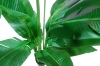 Picture of 353-001 Artificial Green Traveler's Palm Plant - H71"