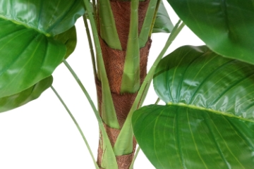 Picture of 353-012 Artificial Green Pothos Plant - H55"