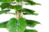 Picture of 353-013 Artificial Green Pothos Plant - H67"