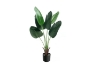 Picture of ARTIFICIAL PLANT 71" Banana Leaf with Black Plastic Pot 
