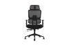 Picture of FLEXO Height Adjustable Office Chair with Adjustable Headrest & Backrest, Seat Slider (Dark)