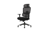 Picture of FLEXO Height Adjustable Office Chair with Adjustable Headrest & Backrest, Seat Slider (Dark)