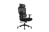 Picture of FLEXO Height Adjustable Office Chair with Adjustable Headrest & Backrest, Seat Slider (Dark)