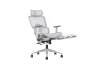 Picture of FLEXO Height Adjustable Mesh Seat Office Chair with Adjustable Headrest & Backrest, Seat Slider (Grey)