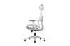 Picture of FLEXO Height Adjustable Mesh Seat Office Chair with Adjustable Headrest & Backrest, Seat Slider (Grey)