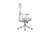Picture of FLEXO Height Adjustable Mesh Seat Office Chair with Adjustable Headrest & Backrest, Seat Slider (Grey)