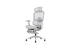 Picture of FLEXO Height Adjustable Mesh Seat Office Chair with Adjustable Headrest & Backrest, Seat Slider (Grey)