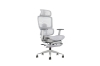 Picture of FLEXO Height Adjustable Mesh Seat Office Chair with Adjustable Headrest & Backrest, Seat Slider (Grey)