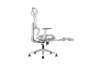 Picture of FLEXO Height Adjustable Mesh Seat Office Chair with Adjustable Headrest & Backrest, Seat Slider (Grey)