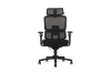 Picture of FLEXO Pro Height Adjustable Mesh Office Chair with Adjustable Headrest & Backrest, 5D Armrests and Seat Slider (Dark)