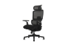 Picture of FLEXO Pro Height Adjustable Mesh Office Chair with Adjustable Headrest & Backrest, 5D Armrests and Seat Slider (Dark)