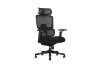 Picture of FLEXO Pro Height Adjustable Mesh Office Chair with Adjustable Headrest & Backrest, 5D Armrests and Seat Slider (Dark)