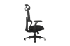 Picture of FLEXO Pro Height Adjustable Mesh Office Chair with Adjustable Headrest & Backrest, 5D Armrests and Seat Slider (Dark)