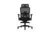 Picture of FLEXO Pro Height Adjustable Mesh Office Chair with Adjustable Headrest & Backrest, 5D Armrests and Seat Slider (Dark)