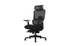 Picture of FLEXO Pro Height Adjustable Mesh Office Chair with Footrest (Dark)