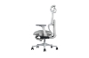 Picture of FLEXO Pro Height Adjustable Mesh Office Chair with Adjustable Headrest & Backrest, 5D Armrests and Seat Slider (Grey)