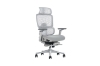 Picture of FLEXO Pro Height Adjustable Mesh Office Chair with Adjustable Headrest & Backrest, 5D Armrests and Seat Slider (Grey)