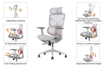 Picture of NEXEN Pro High Back Office Chair with Adjustable Headrest & Backrest, Lumbar Support, 3D Armrests and Seat Slider