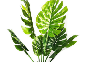 Picture of ARTIFICIAL Plant 35.5" Monstera Delicosa