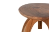 Picture of EAGIS Mungur Wood Plant Stand (Natural)