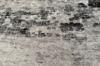 Picture of 398-018 ELEMENT Brilliant Rug (Grey Marble Print) - 118"x94.5"