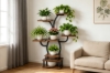 Picture of ARCORA Display Shelf/Plant Stand